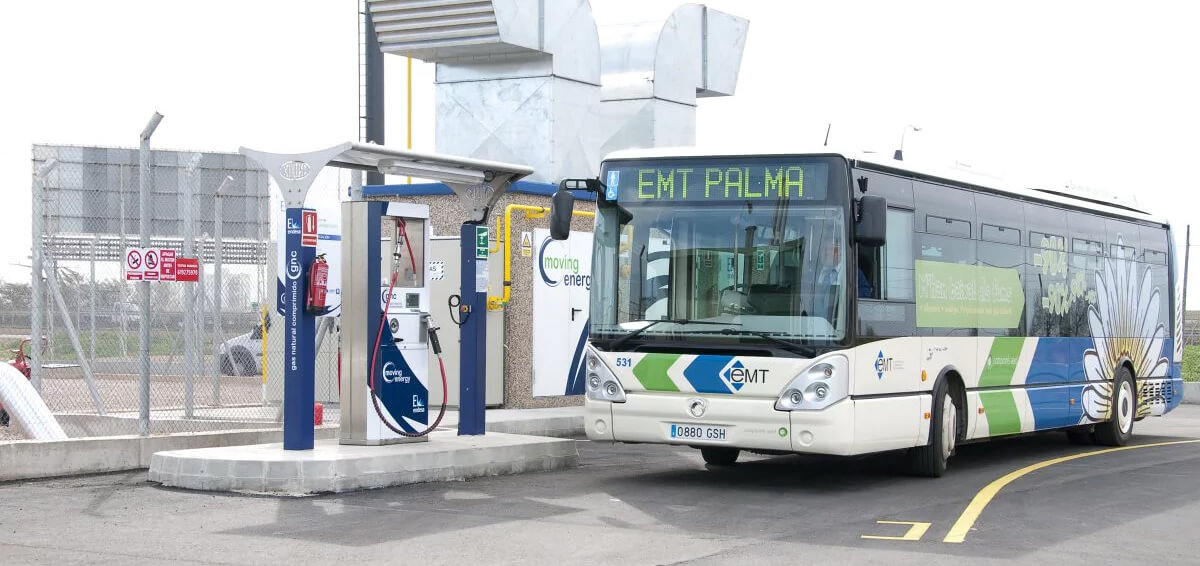 Palma Airport Bus